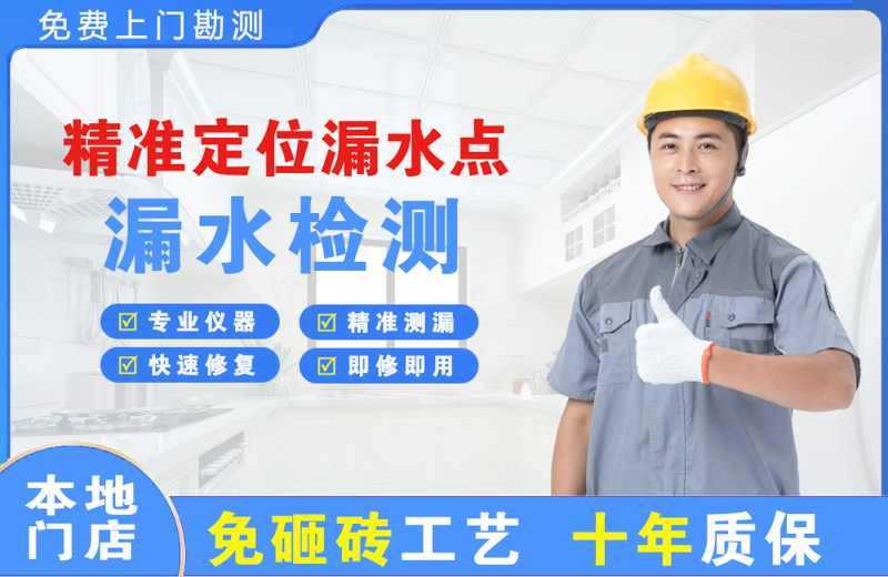 龙文精准测漏点